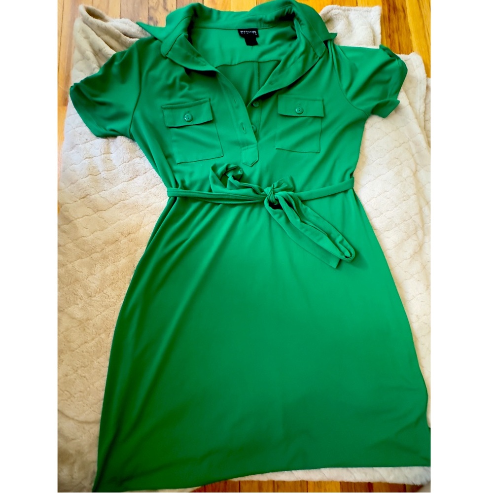 🚫SOLD🚫 Green Collar Dress